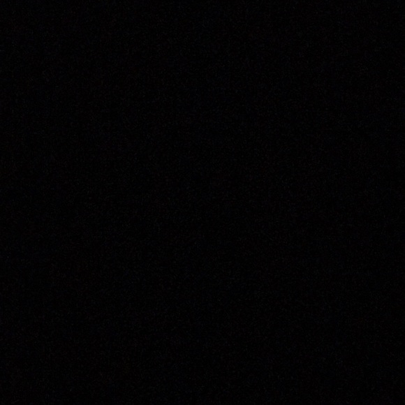 Meet your Posher, Silas - Picture 1 of 1